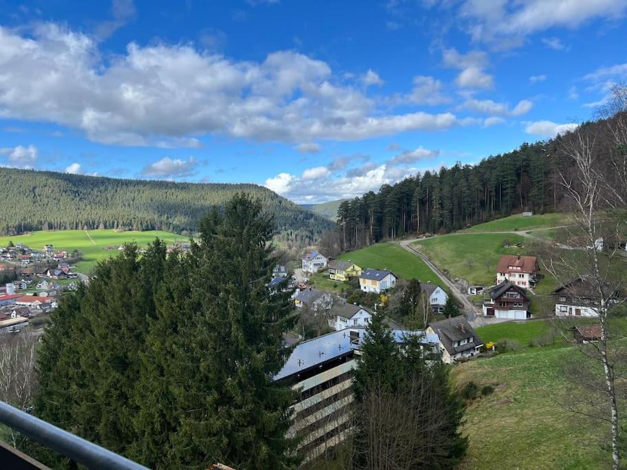 Gemuetliche Wohnung In Baiersbronn Kültér fotó